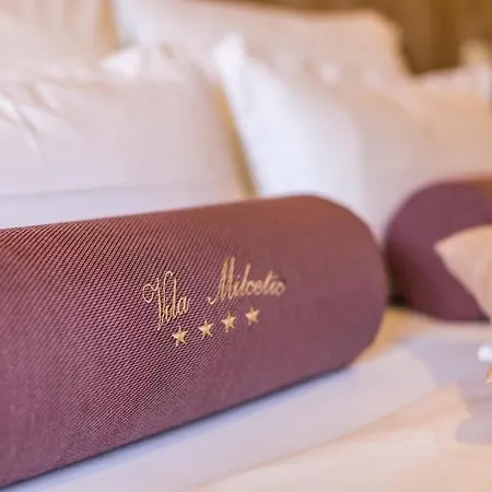 Milcetic Guest house *